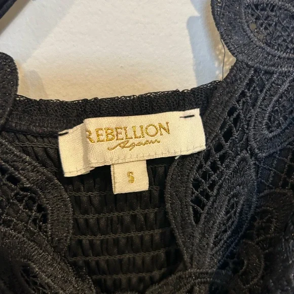 Rebellion Whimsygoth Maxi Mesh Dress with Floral Embroidery - Picture 4 of 6